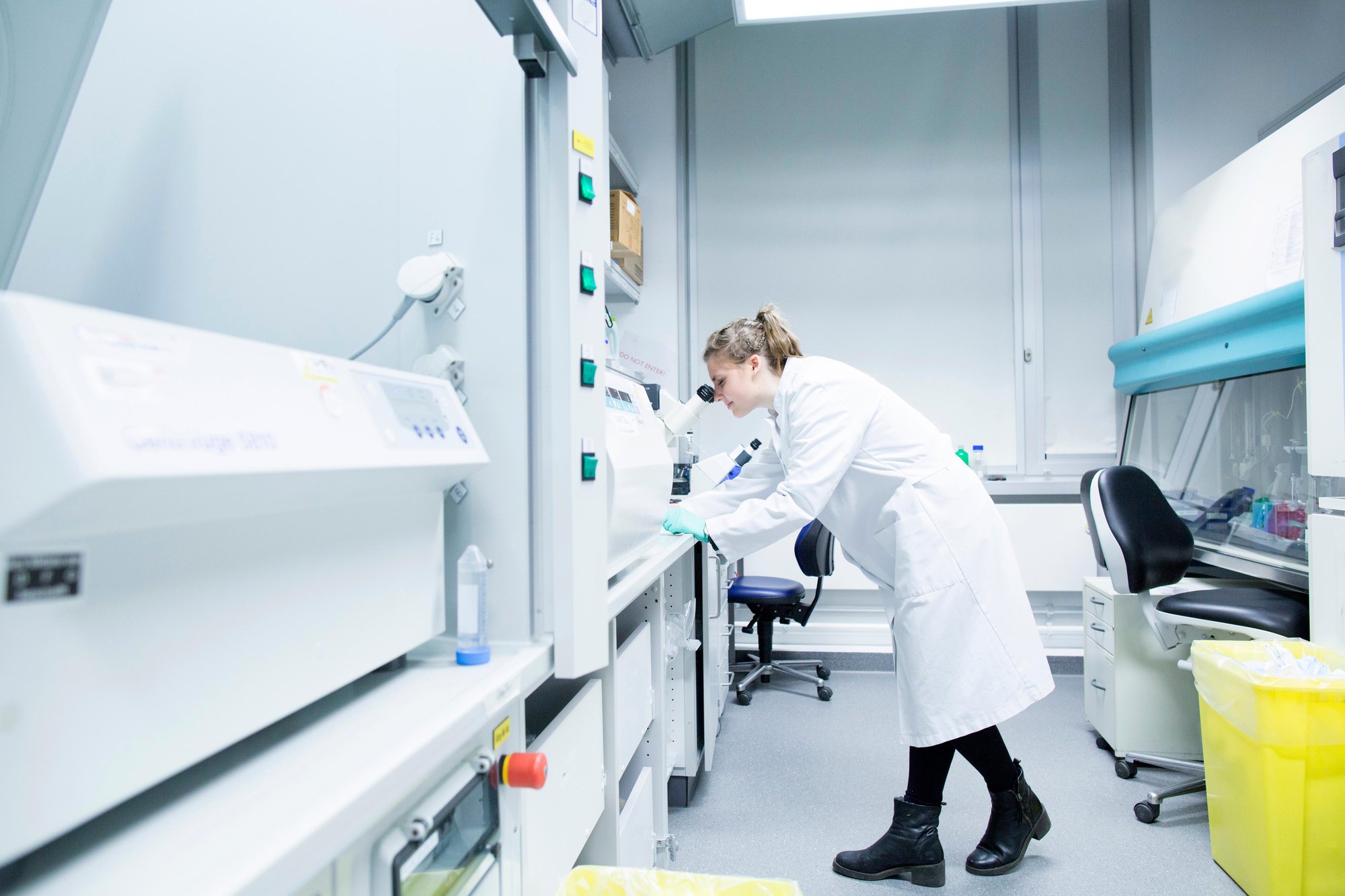 Visible Particle Identification